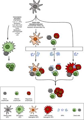 Nanoparticles for the Induction of Antigen-Specific Immunological Tolerance